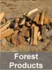Forest Products