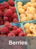 Berries