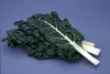 swiss chard