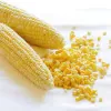 Corn