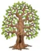 Tree Logo