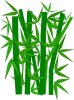 bamboo-307897 640