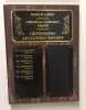 Mary Lanzi Award Plaque
