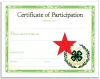 Red Participation Certificate