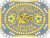 Glenn County 4-H Horse Show Champion Buckles 2019