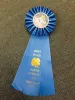 Glenn County 4-H Horse Show Ribbons
