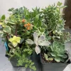 Various succulents in a planter