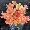 A top-down view of a bouquet of snapdragon flowers in a clear glass vase, featuring peach, yellow, and pink blooms.