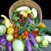 A wooden basket overflowing with various colorful vegetables, including zucchinis, squashes, bell peppers, and eggplants, set against a black background.