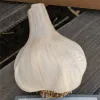 A close-up view of a rounded garlic bulb with a smooth, off-white surface, resting on a textured wooden surface.