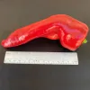 A glossy, elongated red pepper with a green stem rests on a dark surface, alongside a ruler measuring approximately 6 inches.