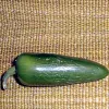 A single glossy green jalapeño pepper on a textured brown fabric background.