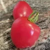 Two ripe red tomatoes with smooth skin, one larger in front and a smaller one behind, sitting on a textured gray granite countertop.
