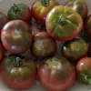 A bowl filled with dark reddish-brown tomatoes, known as Black from Tula, varying in size and shape, with green stems on top.