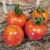 Four ripe red tomatoes with green stems on a granite countertop.