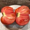 A freshly cut large red tomato, split in half on a white decorative plate, revealing its seeds and juicy interior.
