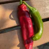 A bright red pepper and a green pepper resting on a wooden surface.