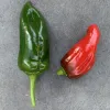 Two peppers are displayed on a gray surface: a large green poblano on the left and a smaller red ancho pepper on the right.