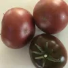Three dark reddish-brown tomatoes with glossy skins, one larger and two smaller, arranged on a light surface.