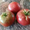 Three tomatoes in varying shades of red on a granite surface, with the largest centered and smaller ones beside it.