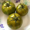Three green zebra tomatoes lie on a floral-patterned paper plate, showcasing their vivid yellow-green color and dark green stripes.