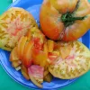 A large orange tomato and several pink-orange slices on a blue plate, set against a green background.