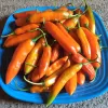 A blue plate piled with orange, yellow, and green elongated chili peppers, arranged closely together.