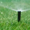 A black sprinkler head spraying water on a lush green lawn.