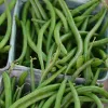 Close-up of fresh green beans piled in a light-colored cardboard container, displaying their vibrant green color and elongated shape.