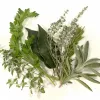 Herb Gardening Basics