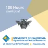 100 hours bee pin