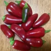 A pile of red peppers with one green pepper among them, on a wooden surface.