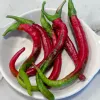 A collection of colorful chili peppers in a white dish, displaying bright red and green hues, with a smooth texture and elongated, curved shapes.