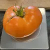 A large, ripe orange tomato with green leaves sits on a digital kitchen scale.