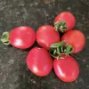 A cluster of six shiny, ripe Principe Borghese tomatoes, varying in size and shape, with green stems, on a dark textured surface.