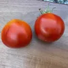 Two ripe red tomatoes on a wooden surface, one slightly larger than the other.
