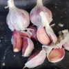 Garlic bulbs and cloves on a dark surface, showcasing white skins with purple streaks and smooth surfaces.