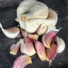 Close-up of a head of garlic with several cloves scattered around, displaying white and light purple hues.