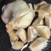A close-up view of a whole garlic bulb and scattered cloves, showcasing their off-white color and papery texture against a dark background.