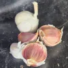 A cluster of garlic cloves in shades of white and pink, positioned on a dark surface, featuring a whole bulb and exposed cloves.