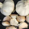 A close-up image of garlic bulbs and cloves, showcasing their smooth, off-white and light brown skins on a dark surface.
