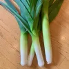 4 leeks with long white and pale green stems