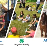 Collage of Amador County 4-H youth participating in activities such as gardening, horsemanship, goat grooming, camp, and cooking! 