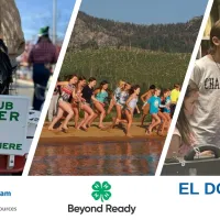 Collage of El Dorado County 4-H youth participating in activities such as geology, dog obedience, summer camp, parade, and rabbit agility.